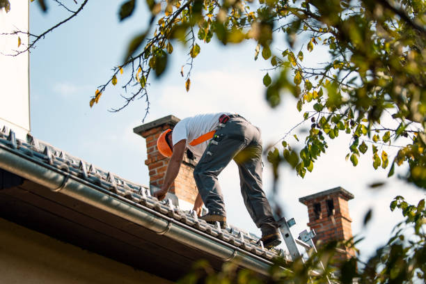 Best Roof Leak Repair  in Chamberlain, SD