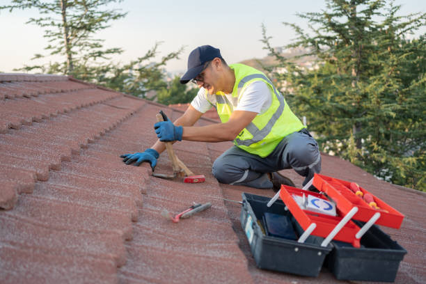Best Best Roofing Contractors  in Chamberlain, SD