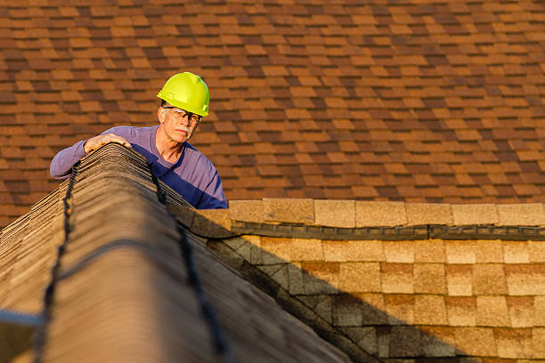 Best Sealant for Roof  in Chamberlain, SD
